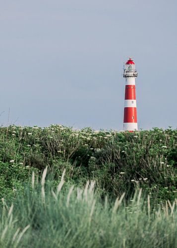 Phare à Ameland