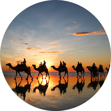 Zonsondergang met kamelen op het strand. Broome, Australië van The Book of Wandering