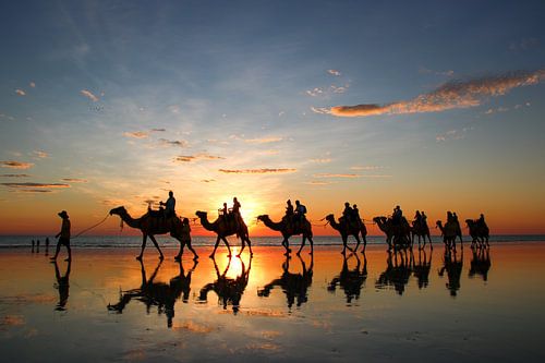 Zonsondergang met kamelen op het strand. Broome, Australië