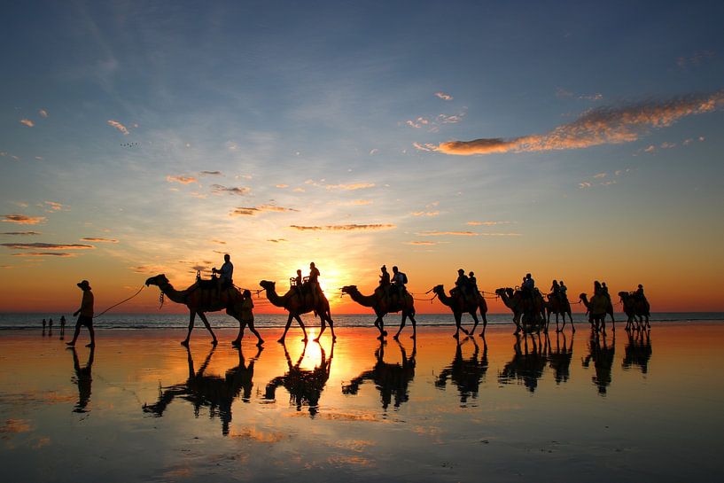 Sunset with camels on the beach. Broome, Australia by The Book of Wandering