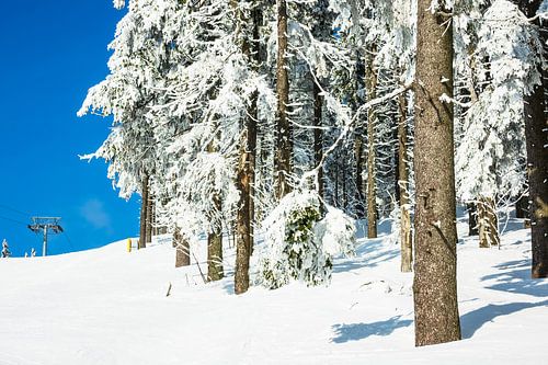 Winter im Riesengebirge bei Janske Lazne, Tschechien