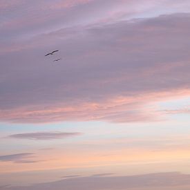 Sanfter Sonnenaufgang mit Pastellfarben von Linsy Steijvers