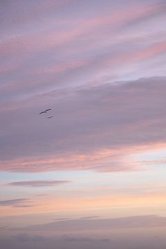 Sanfter Sonnenaufgang mit Pastellfarben von Linsy Steijvers