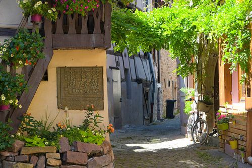 Dorpsidylle in Eguisheim in de Elzas