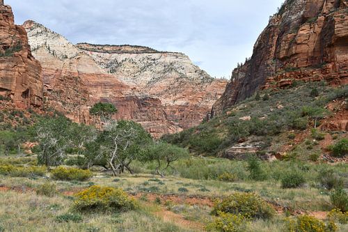 Zion National Park, lopen langs de Virgin River