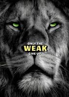 Motivation de l'animal Lion