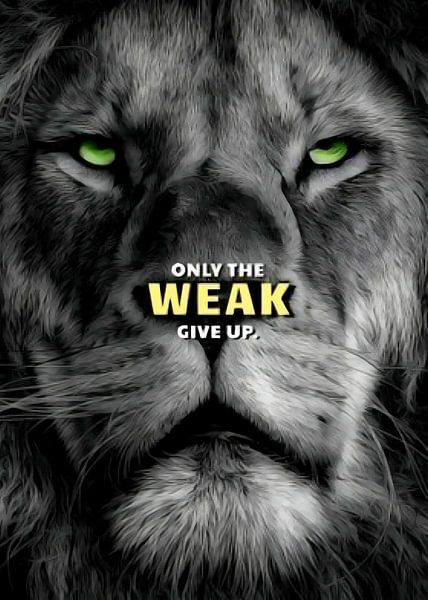 Löwe Tier Motivation von Quotes Motivation