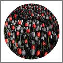 Compositie met tulpen van Raoul Suermondt thumbnail