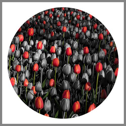 Compositie met tulpen