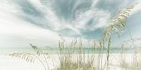 Hemelse stilte op het strand | Vintage Panorama van Melanie Viola thumbnail