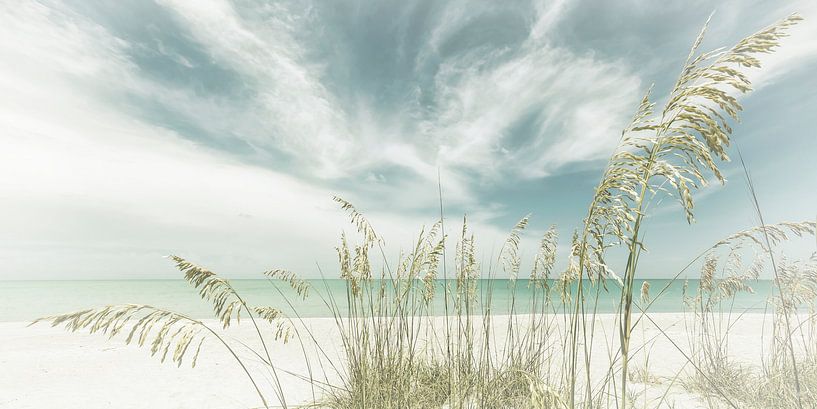 Hemelse stilte op het strand | Vintage Panorama van Melanie Viola