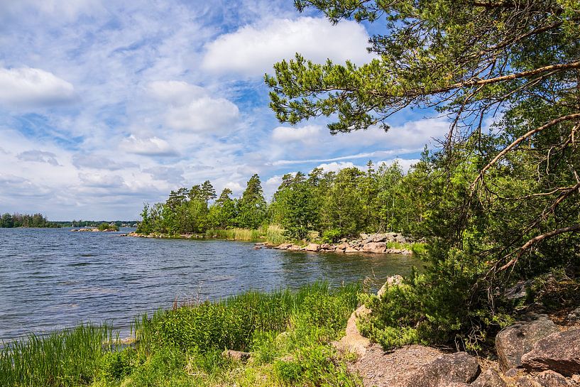 Baltic coast with rocks and trees near Figeholm in Sweden by Rico Ködder