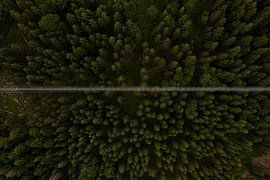 Ne regardez pas en bas - Pont suspendu Wildline de la Forêt-Noire sur Capture ME Drohnenfotografie