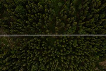 Don't look down - Wildline Suspension Bridge Black Forest by Capture ME Drohnenfotografie