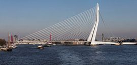 Erasmusbrücke ... von Bert v.d. Kraats Fotografie