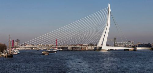 Erasmusbrug...