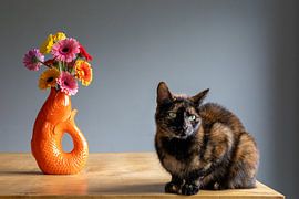Cat with flower vase by Lyssanne Ponsteen-Willems