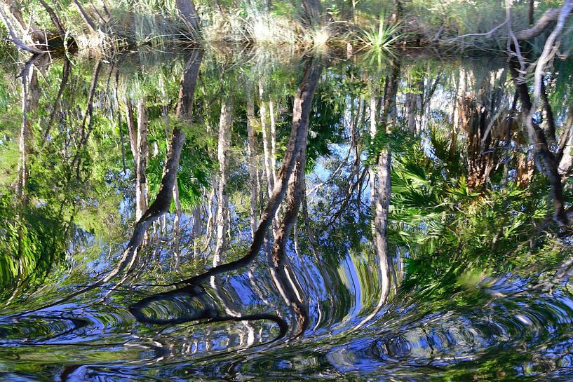 Noosa river art by Frank's Awesome Travels