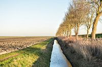 Polder view