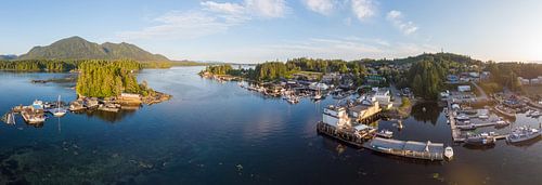 Luftbildpanorama von Tofino mit Hafen und Bergen