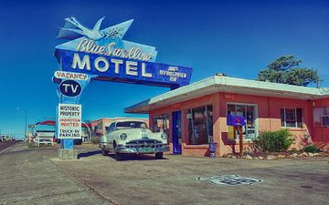Blue Swallow Motel van Tineke Visscher
