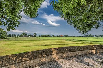 Uitzicht op het Friese grasland nabij Tsjerkebuorren sur Harrie Muis