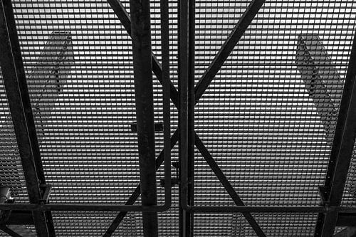 Schwarzer Hahn von Erwin Schenk