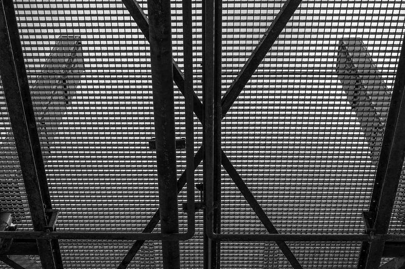 Black rooster by Erwin Schenk