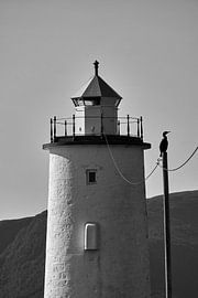 Cormorant keeping watch over the Høgstein lighthouse on Godøy, Norway by qtx