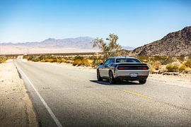 Dodge Challenger auf der US Route 66 - Oatman - Kingman von Martijn Bravenboer