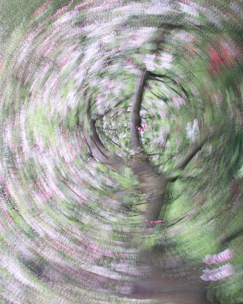 Impression of apple tree in bloom by Lucia Leemans