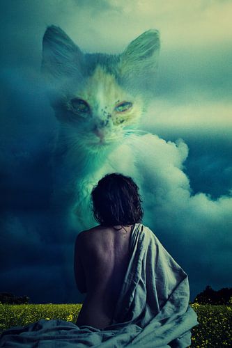 The Great Gig In The Sky