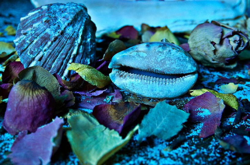 Blue sea symphony with mussels by Silva Wischeropp