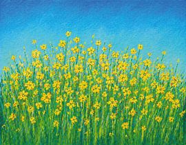 A field of bright rapeseed in the spring breeze