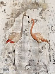 Two flamingos