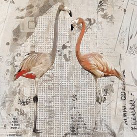 Two flamingos by Gabi Hampe