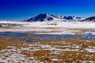 Chili. sneeuw bergen en zout water van Eline Oostingh thumbnail