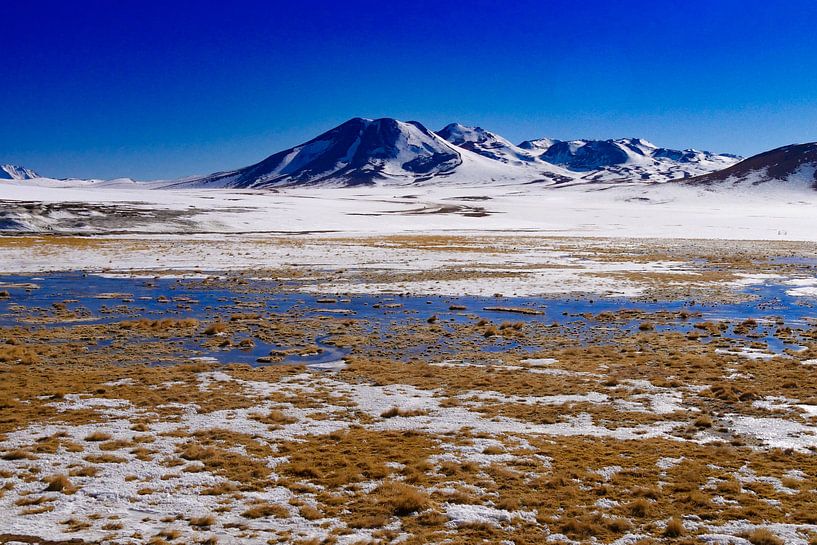Chili. sneeuw bergen en zout water van Eline Oostingh