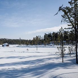 Finnischer Wintersee von Timo Bergenhenegouwen