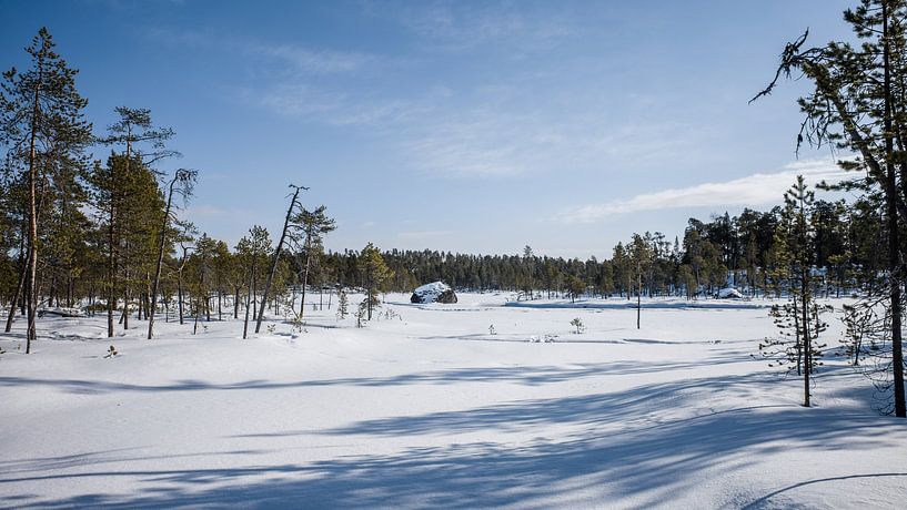 Finnischer Wintersee von Timo Bergenhenegouwen