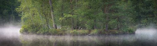 Panorama van het Van Esschenven
