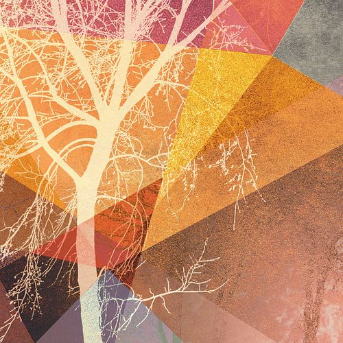 P22-C BOMEN EN DRIEHOEKEN