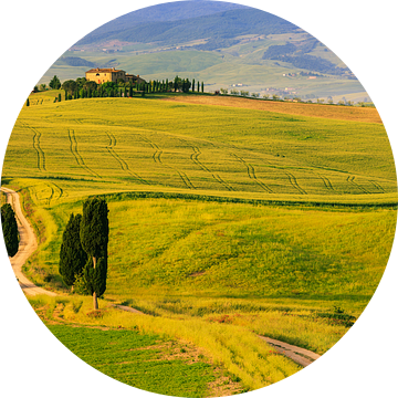 Agriturismo Podere Terrapille, Toscane, Italië van Henk Meijer Photography