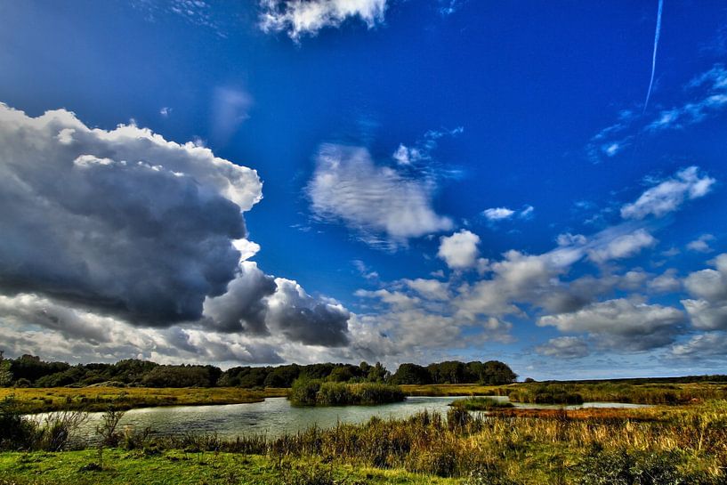 Water landscape van Irene Lommers