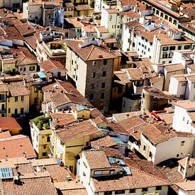 the roofs of florence sur Hanneke Luit