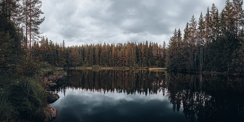 Panorama horizontal avec reflet de la forêt sur le lac Kalm Bosmeer, dans la nature sauvage de la Suède