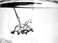 inkt zwart-wit