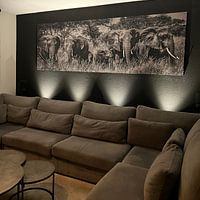 Photo de nos clients: Un troupeau d'éléphants menaçant avec des jeunes en noir et blanc par Erwin Floor, sur ArtFrame