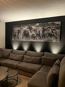 Bedrohliche Elefantenherde mit Jungtieren in Schwarz und Weiß