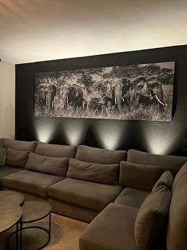 Kundenfoto: Bedrohliche Elefantenherde mit Jungtieren in Schwarz und Weiß von Erwin Floor
